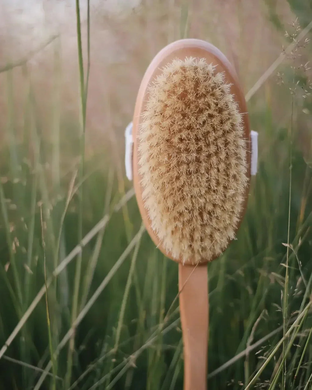 Wooden Body Brush With Handle